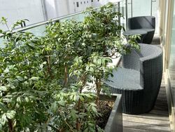 Scotts Square (D9), Apartment #611082771